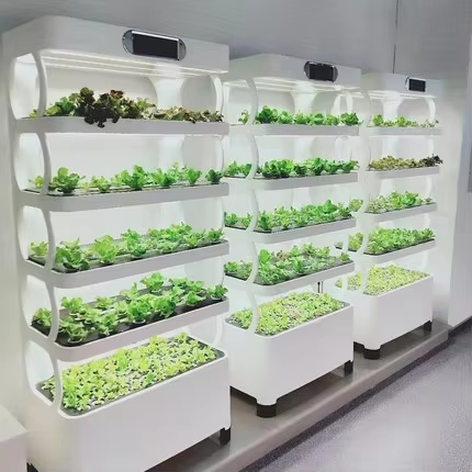 Greenhouse Mini Indoor - Mini Sistema de Cultivo Hidropónico, Armario