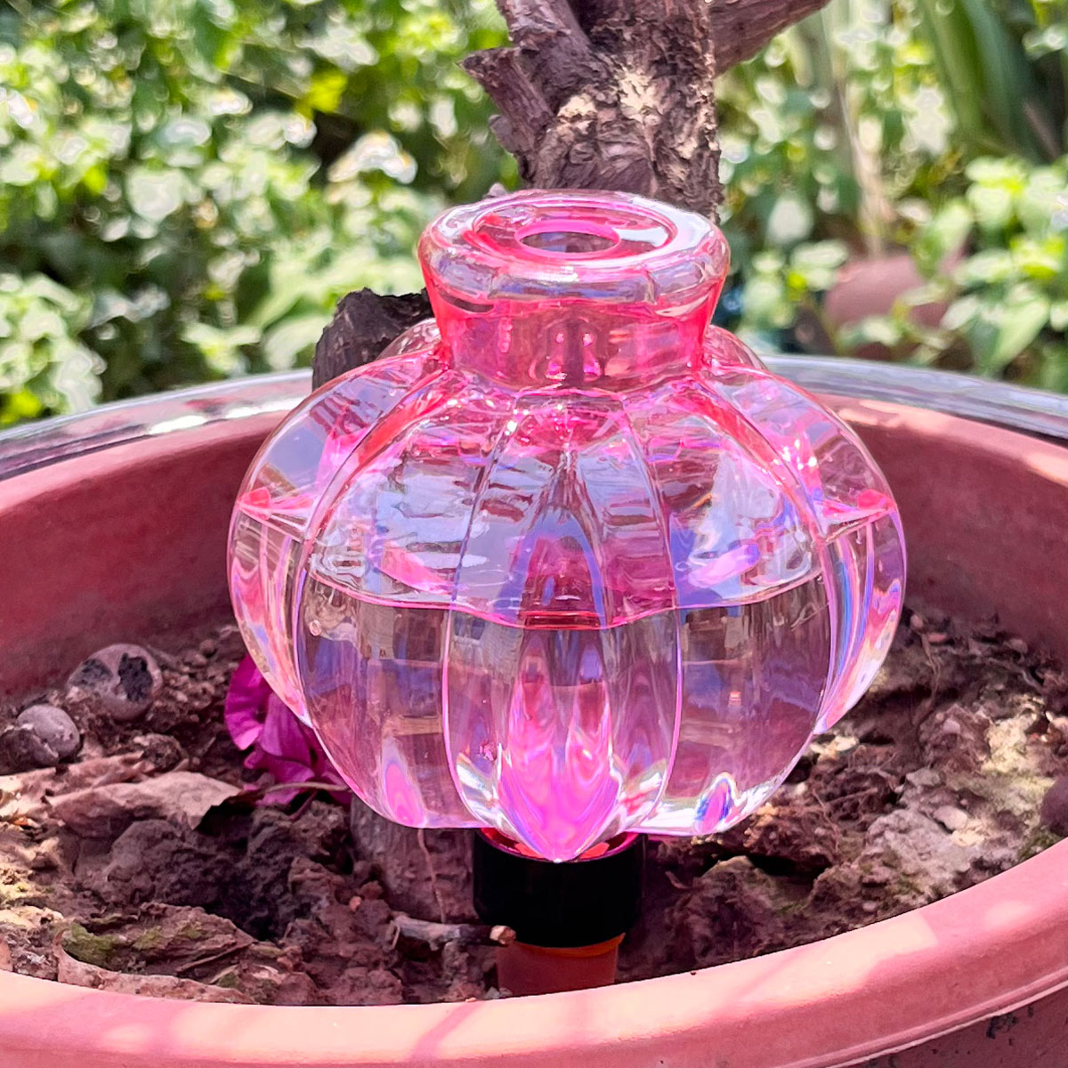 Automatic Plant Waterer - 2 Piezas de Riego Automático por