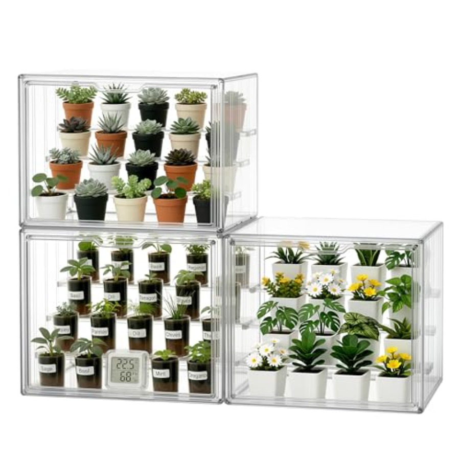 Greenhouse Mini Indoor - Mini invernadero de mesa para plantas