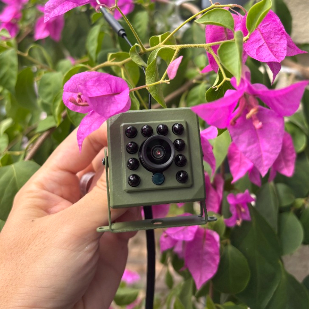 Greenhouse Mini Indoor - Icsee Imx415 4K 8MP CCTV Casas