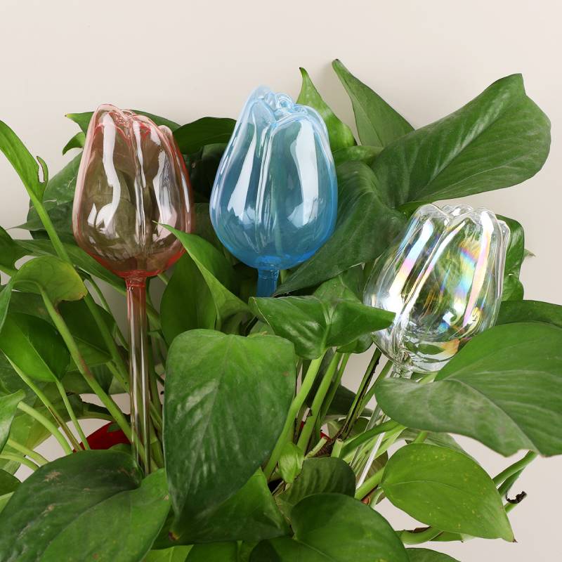 Automatic Plant Waterer - 1 ud. Riego automático de cristal