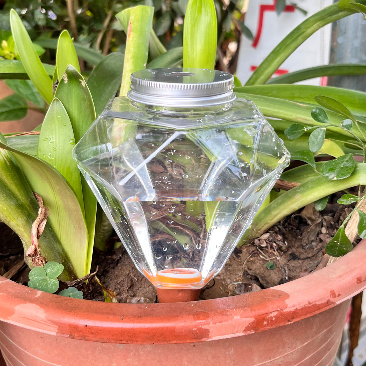 Automatic Plant Waterer - 1 unidad de riego automático de