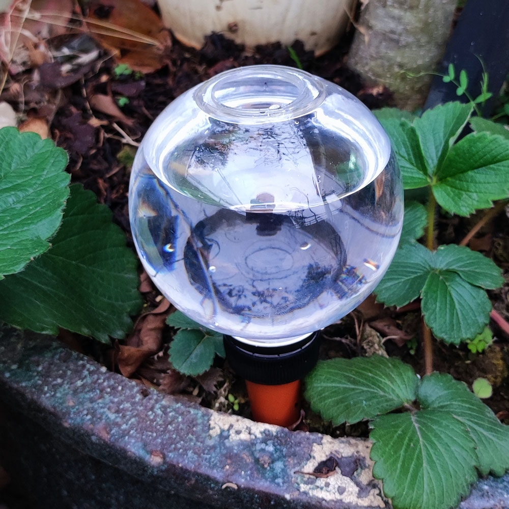 4 Piezas de Herramienta de Rie - Gardening Tools Green reseña y precio