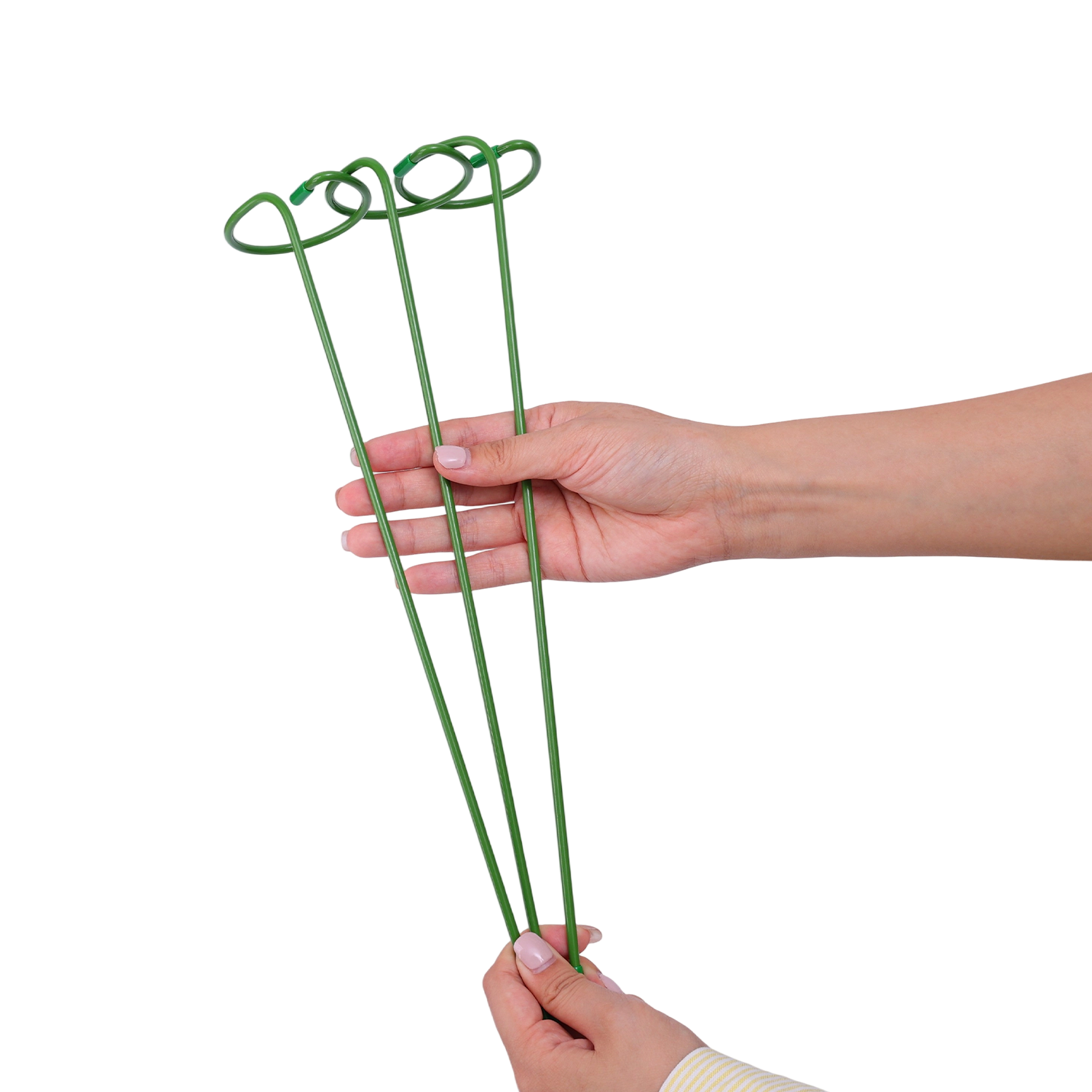 Anillo de estaca de soporte pa - Gardening Tools Hoe reseña y precio