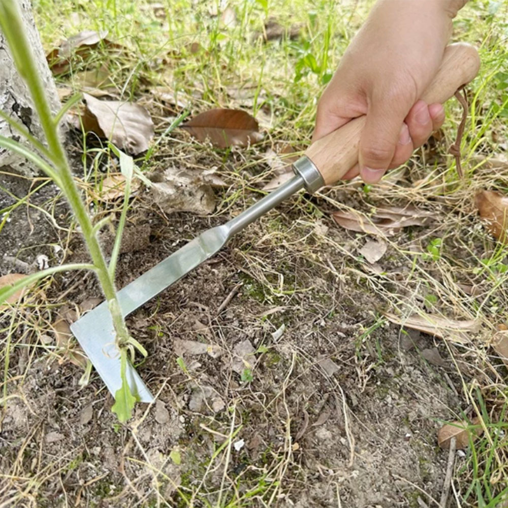 Herramienta de Acero Inoxidabl - Gardening Tools Used For Weeding reseña y precio