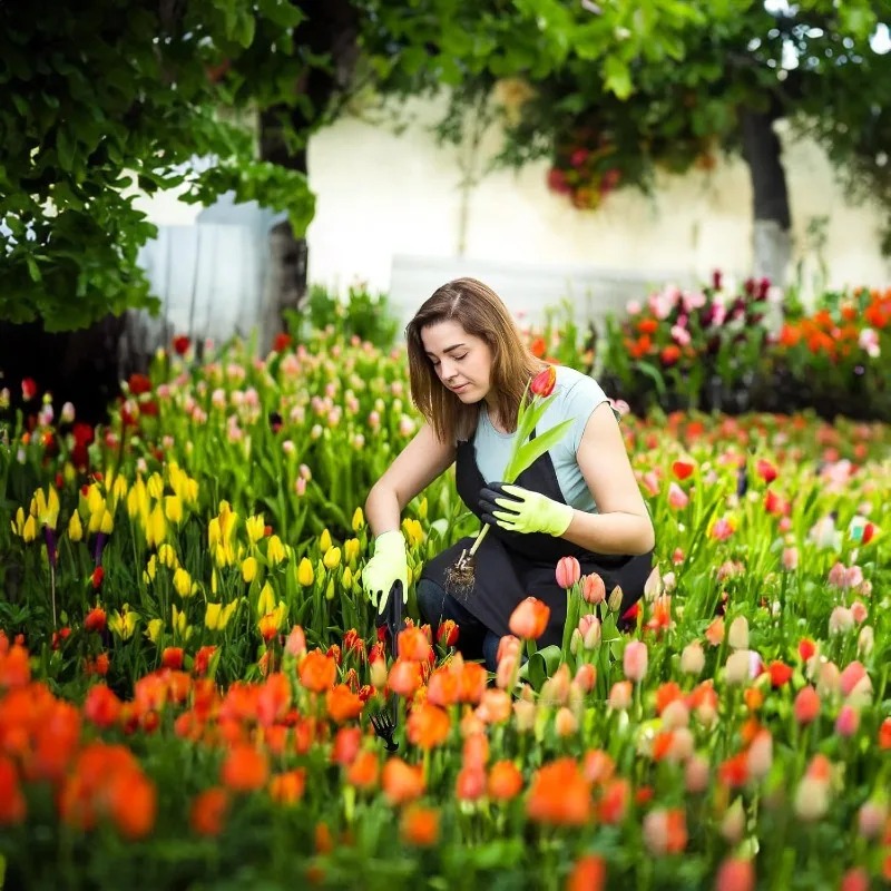 Rastrillo de jardín 2 en 1, he - Gardening Tools Hoe reseña y precio