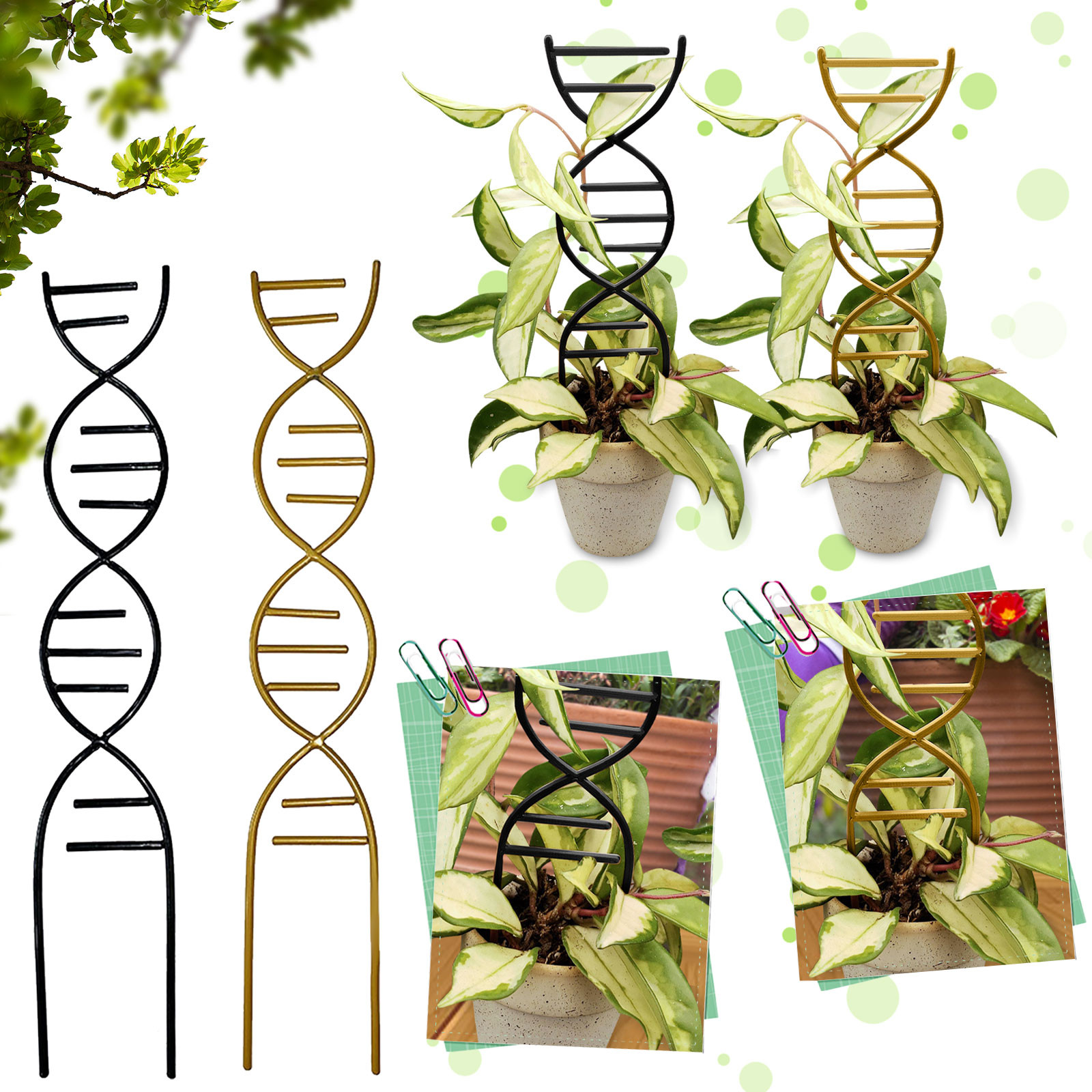 Soporte para trepar plantas, m - Gardening Tools Hoe reseña y precio