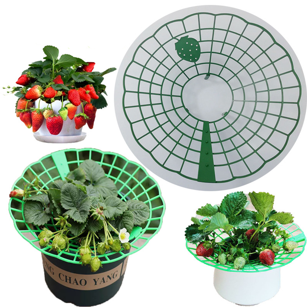 Soporte de fresa 20 piezas, en - Gardening Tools Green reseña y precio