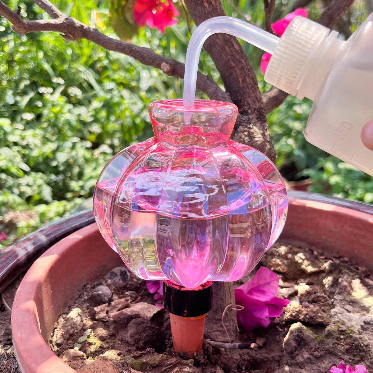 2 Piezas de Riego Automático p - Automatic Plant Waterer reseña y precio