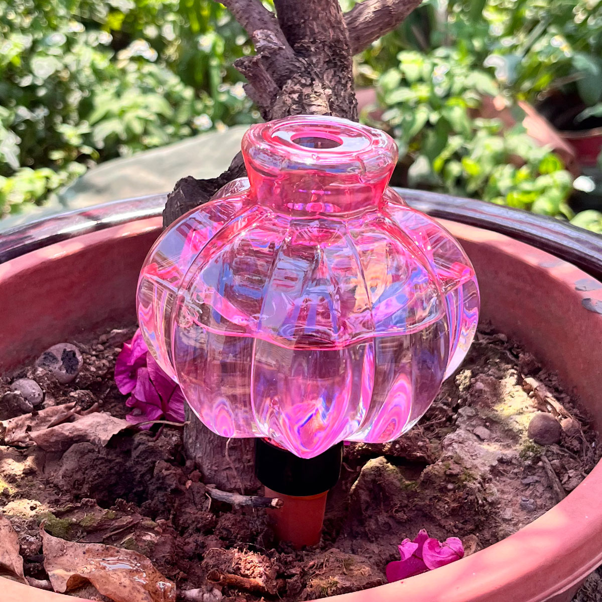 2 Piezas de Riego Automático p - Automatic Plant Waterer reseña y precio