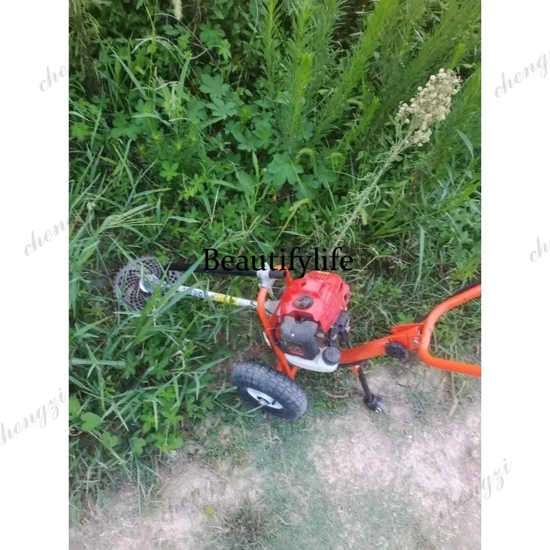 Cortadora de césped manual L17 - Gardening Tools Cutter reseña y precio