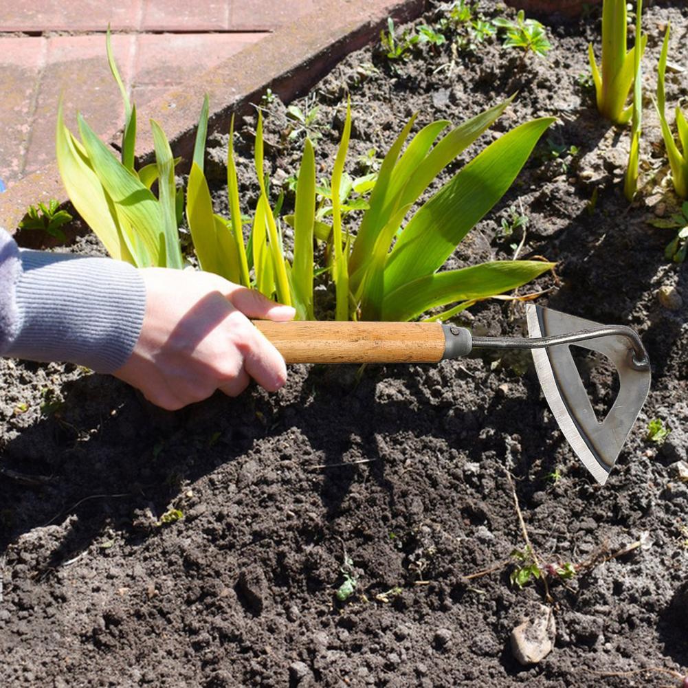Artefacto de deshierbe de azad - Gardening Tools Used For Weeding reseña y precio
