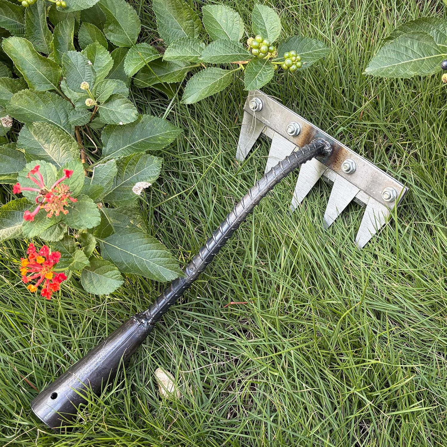 5/6/7/8 dientes hierro azada d - Gardening Tools Hoe reseña y precio