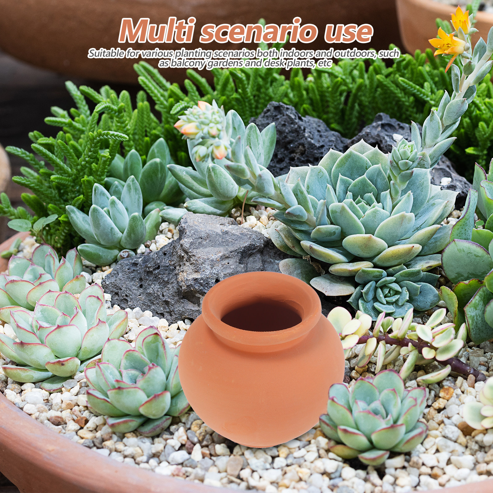 Riego Automático para Plantas, - Automatic Plant Waterer reseña y precio