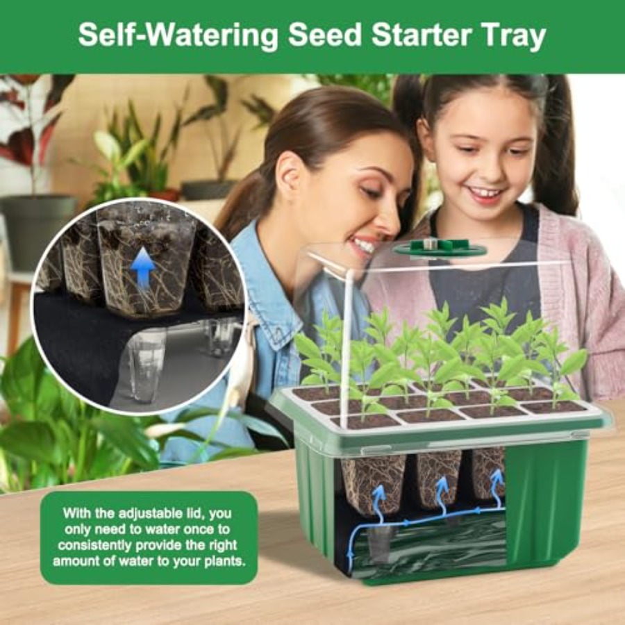 Bandeja de germinación con luz - Greenhouse Mini Indoor reseña y precio