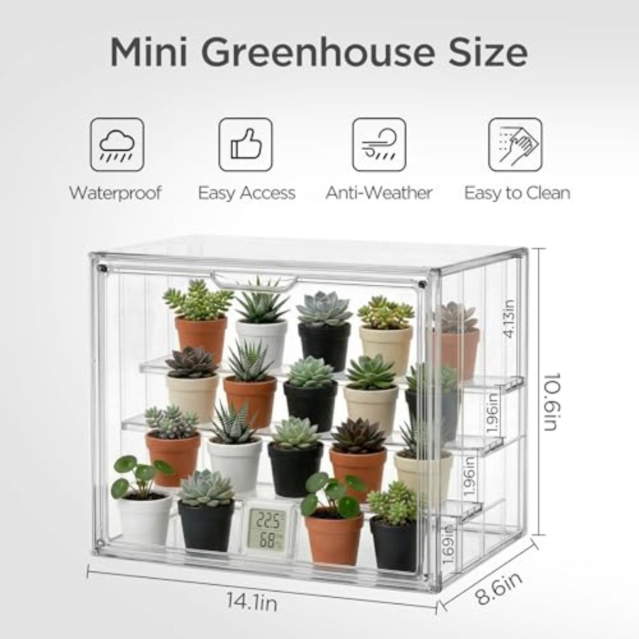 Mini invernadero de mesa para  - Greenhouse Mini Indoor reseña y precio