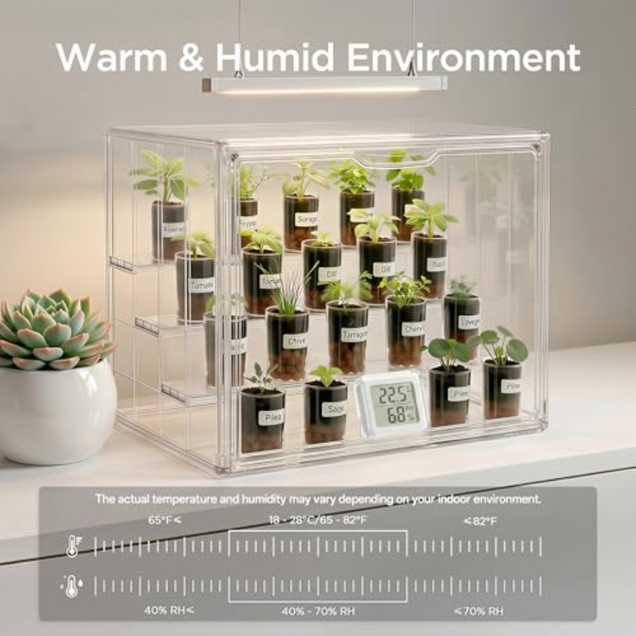 Mini invernadero de mesa para  - Greenhouse Mini Indoor reseña y precio