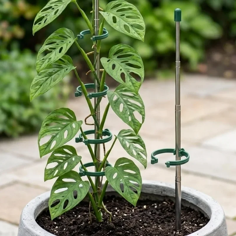 5/1PCS Anillos de Soporte Retr - Gardening Tools Green reseña y precio