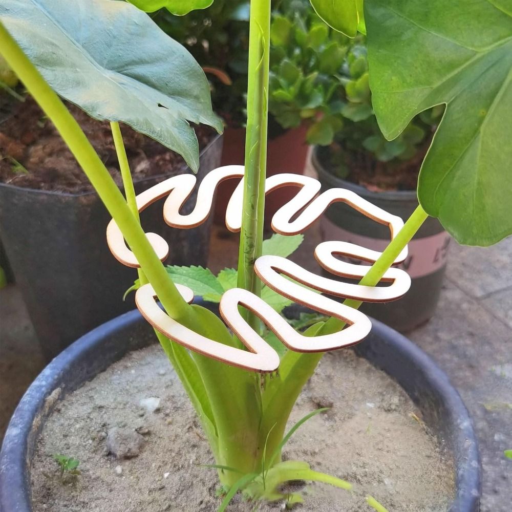 Abrazadera de bambú de concha  - Gardening Tools Hoe reseña y precio