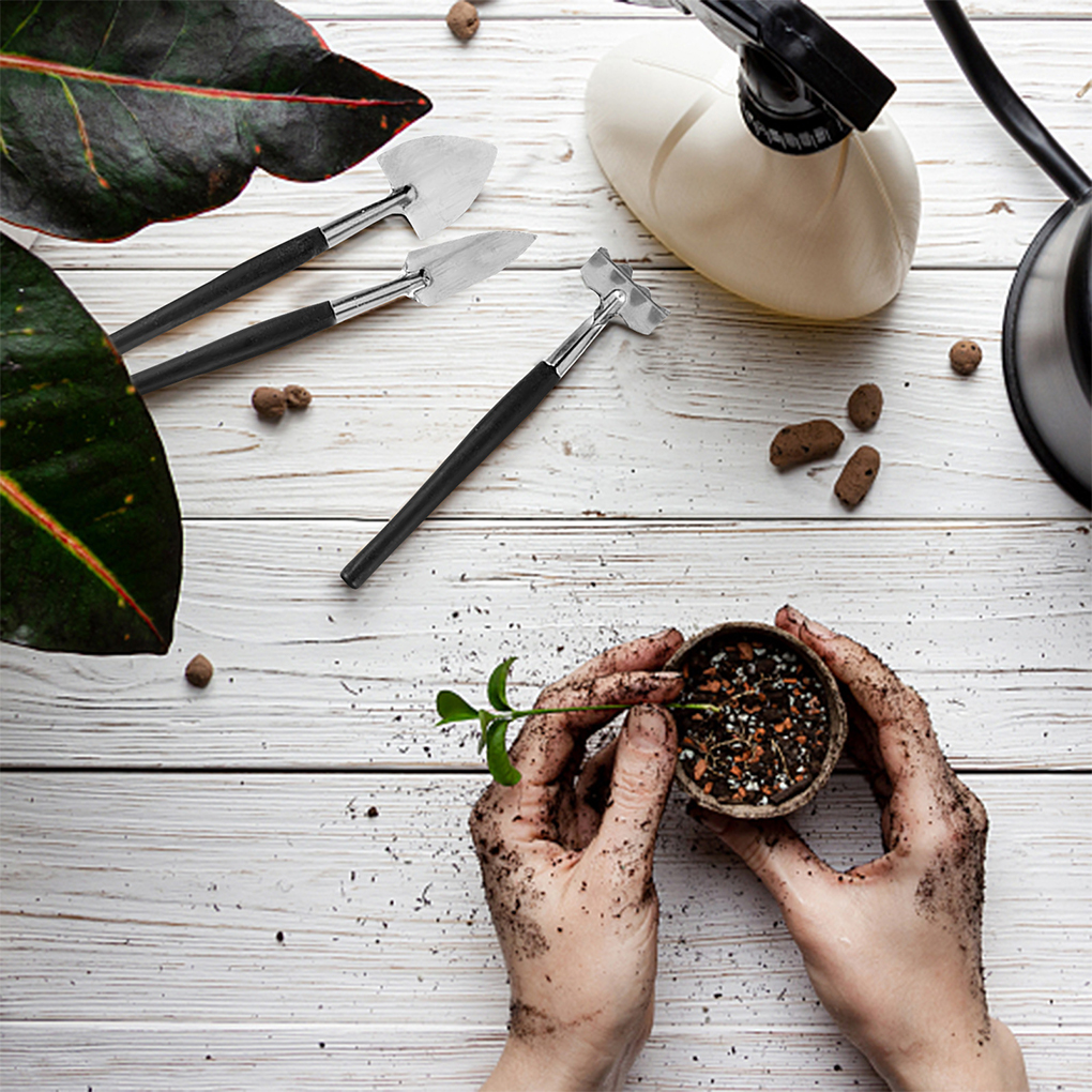 Juego de herramientas para suc - Gardening Tools Pink reseña y precio