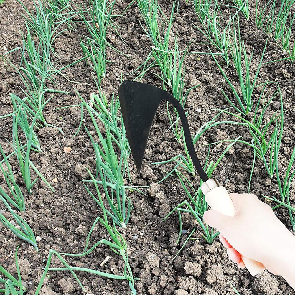 Azadas triangulares para granj - Gardening Tools Hoe reseña y precio