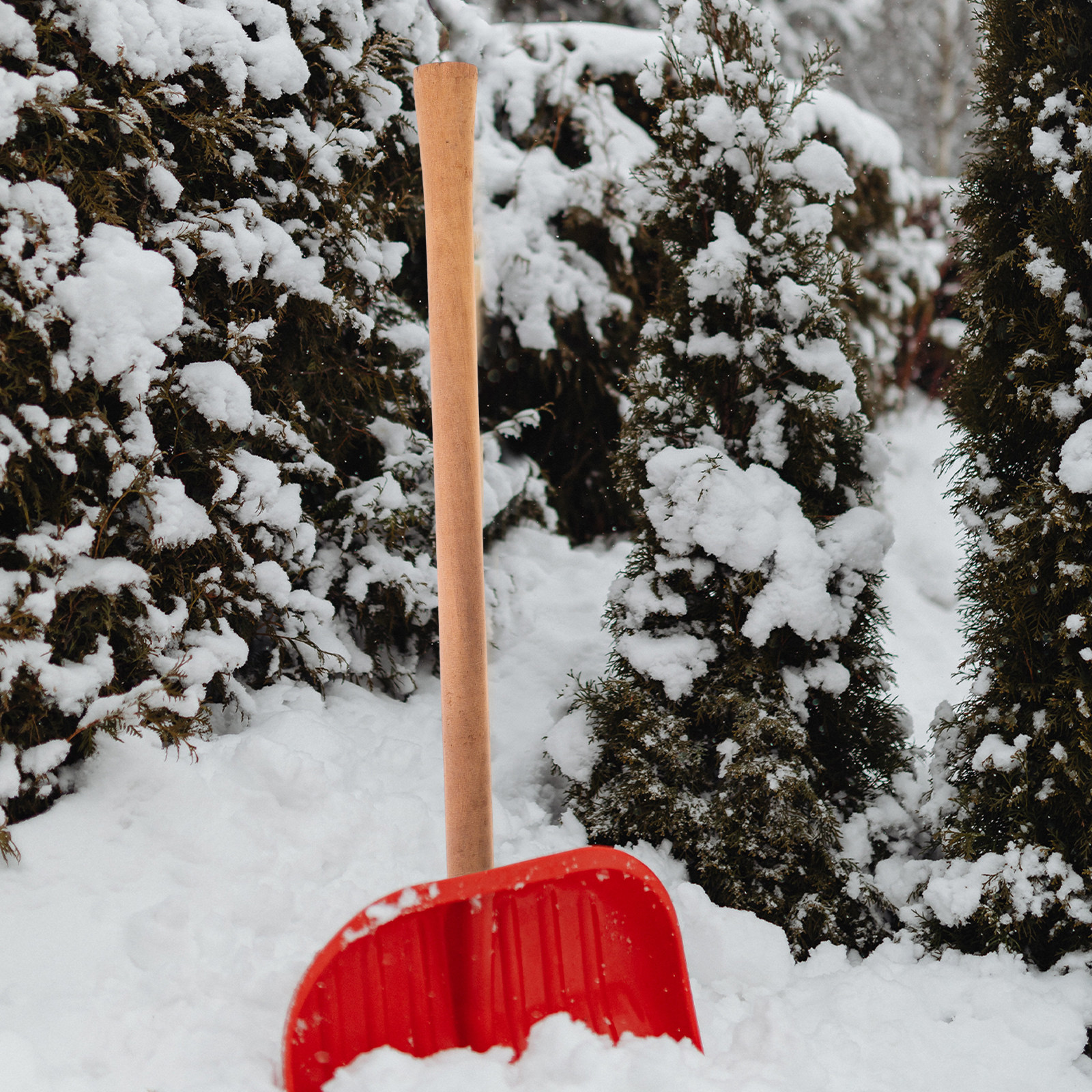 Palancas de repuesto de madera - Gardening Tools Hoe reseña y precio