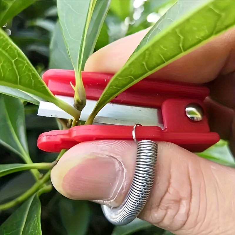 Tijeras de jardinería para pul - Gardening Tools Pink reseña y precio