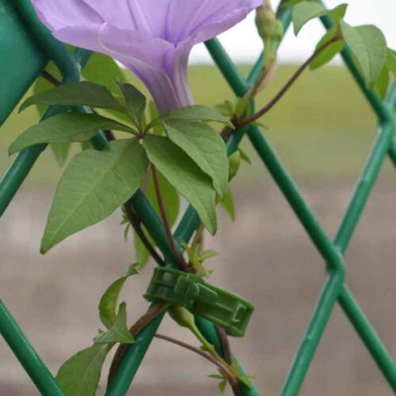 Clip de soporte para plantas d - Gardening Tools Hoe reseña y precio