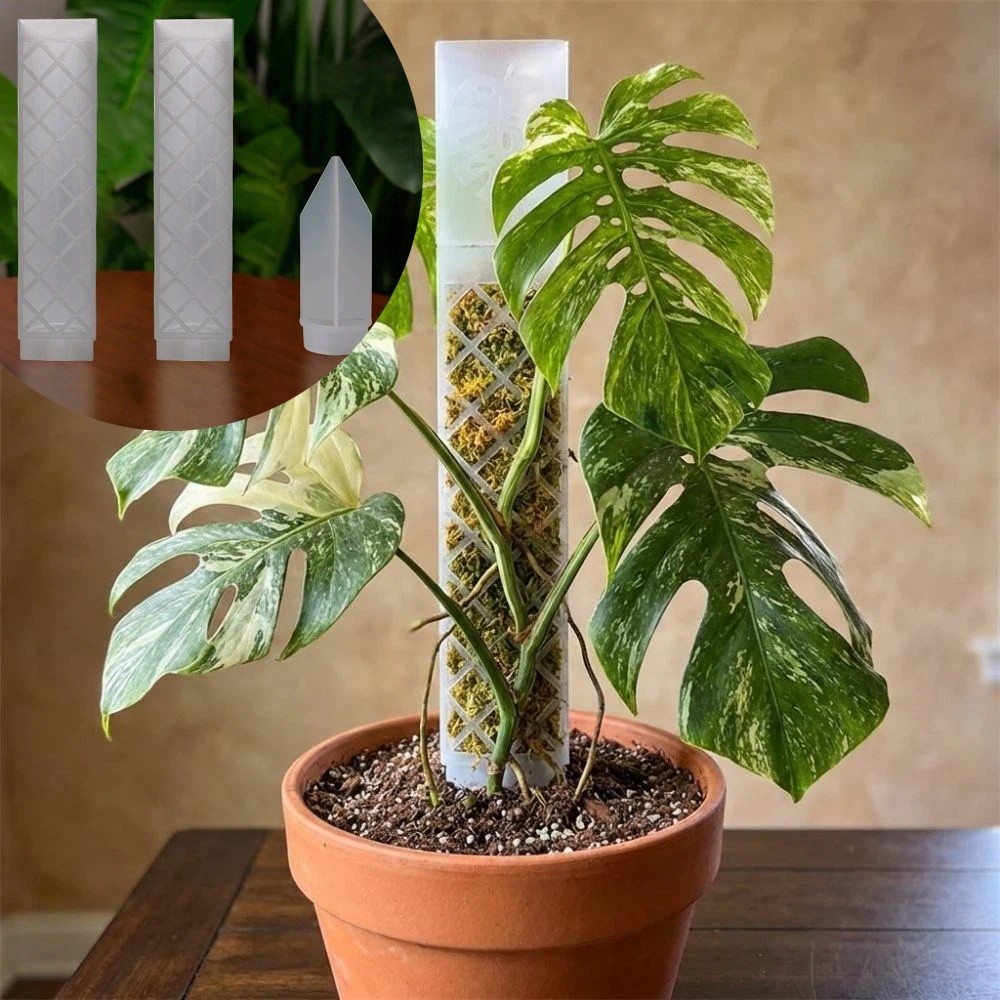 Columna de Plástico en Forma d - Automatic Plant Waterer reseña y precio