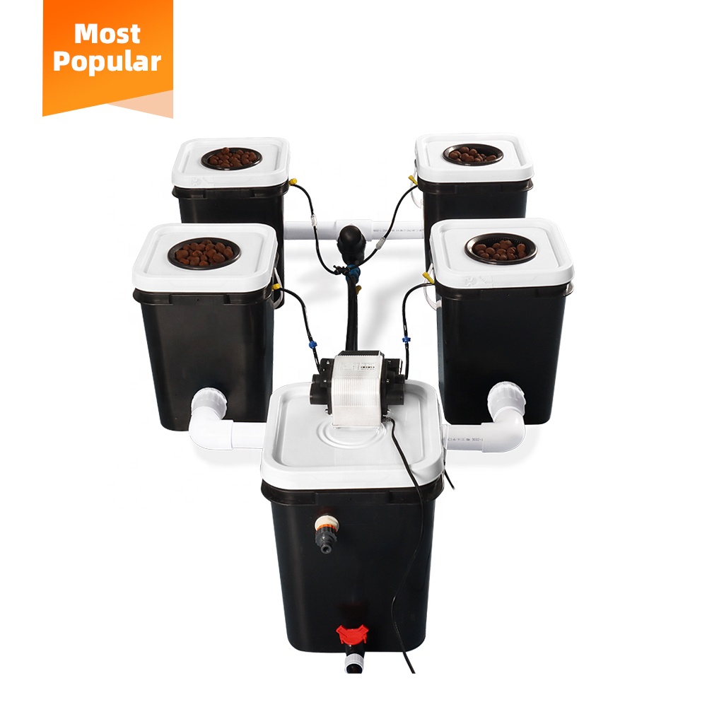 Sistema de cultivo hidropónico - Gardening Tools Best Quality reseña y precio