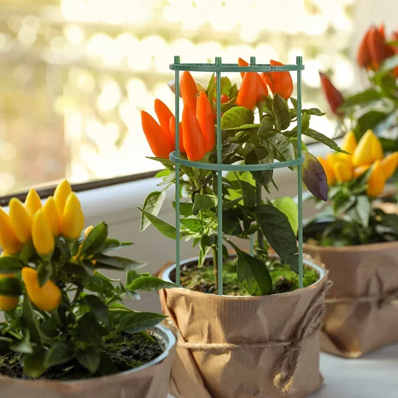 Soporte de plástico para plant - Gardening Tools Hoe reseña y precio