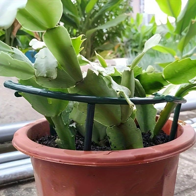 30-1PCS Soporte de Plástico Se - Gardening Tools Hoe reseña y precio