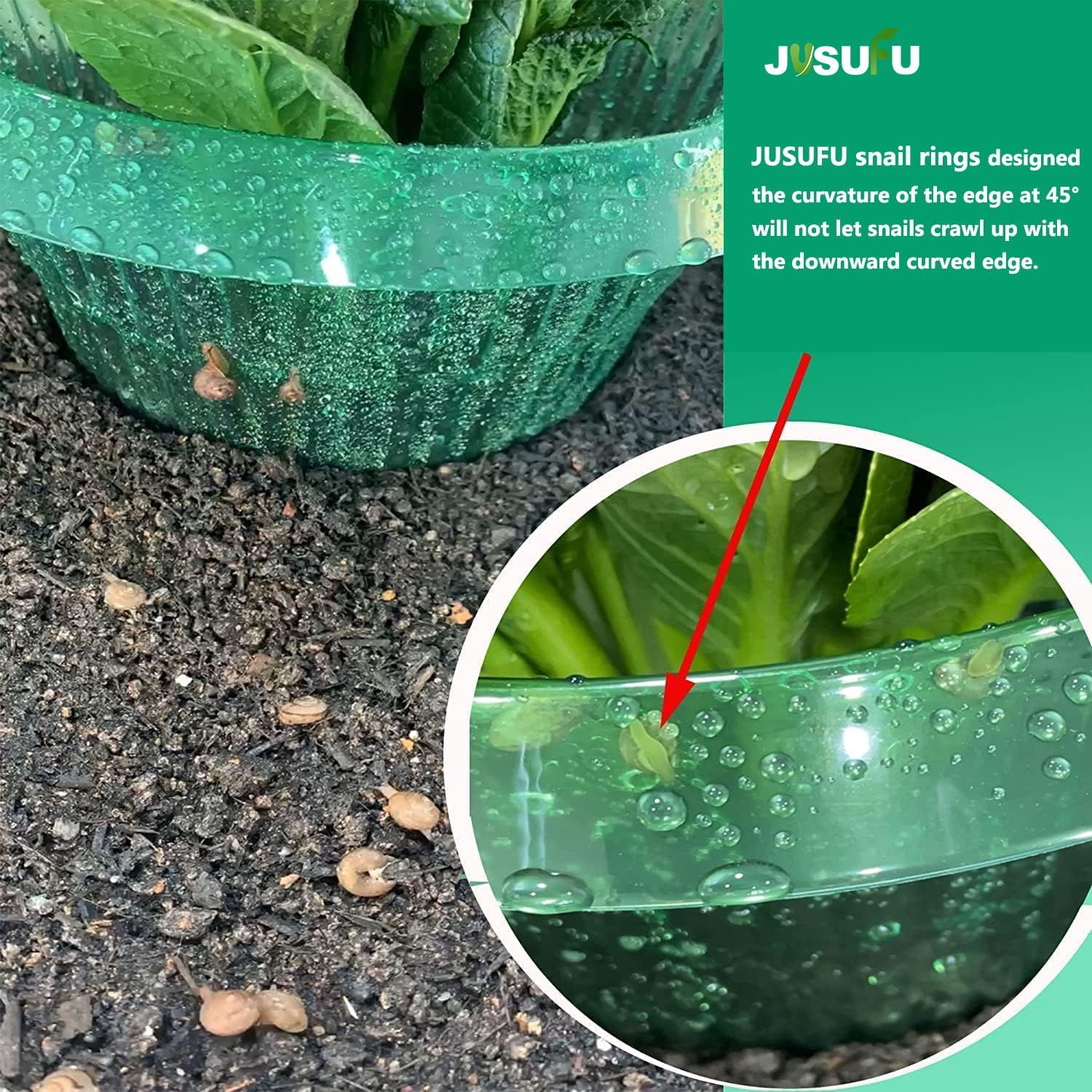 1/30 unidades Anillos de prote - Gardening Tools Green reseña y precio