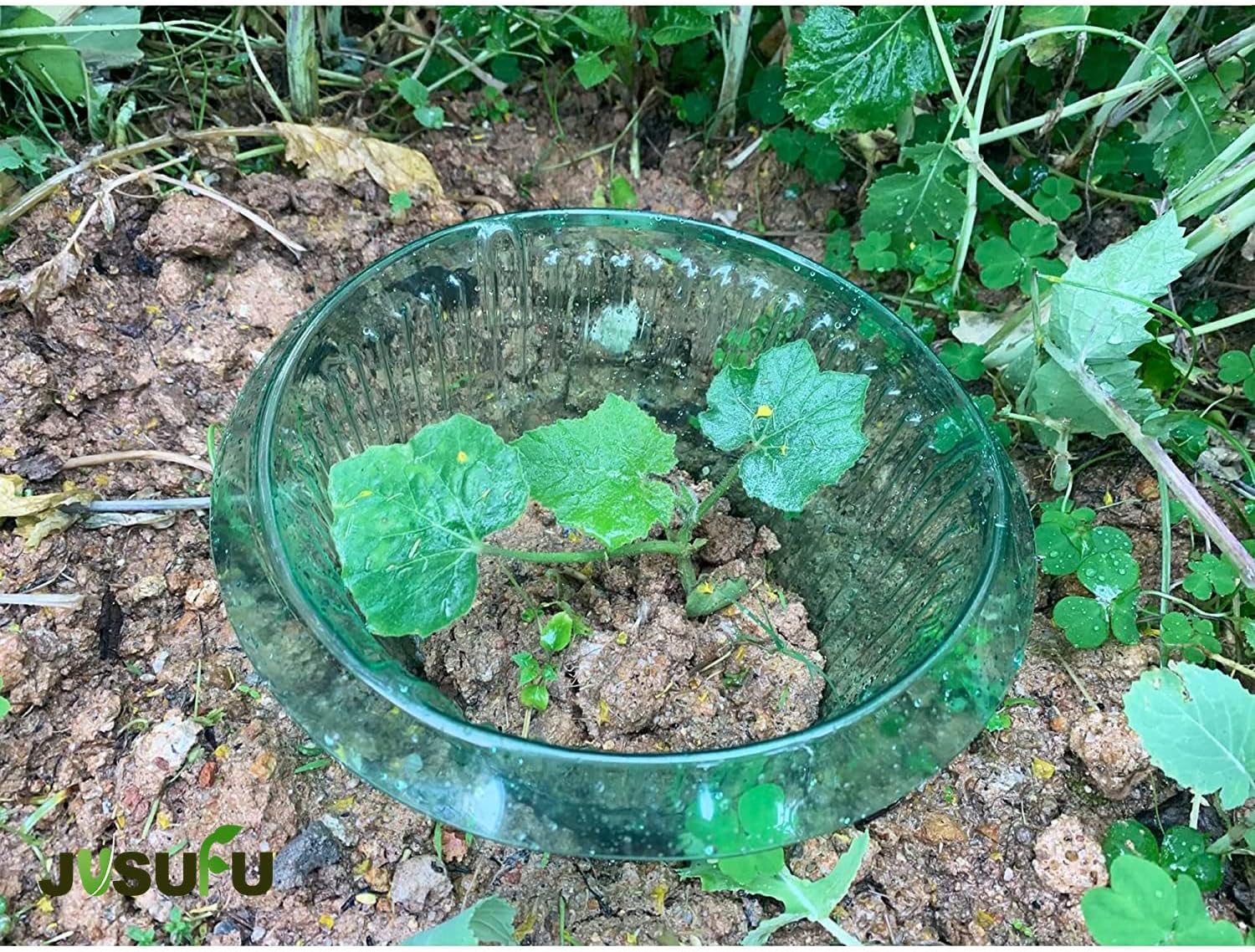 1/30 unidades Anillos de prote - Gardening Tools Green reseña y precio