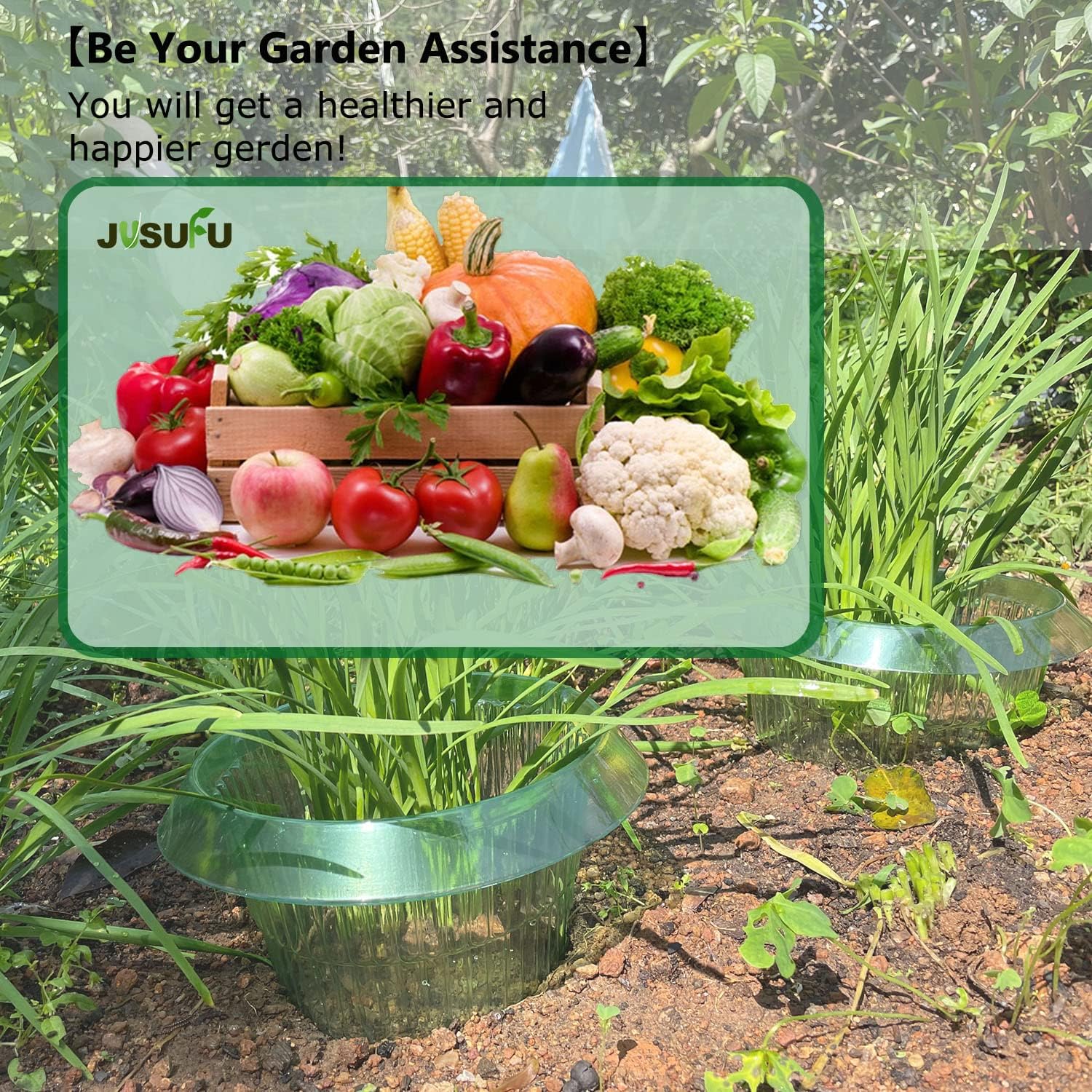 1/30 unidades Anillos de prote - Gardening Tools Green reseña y precio