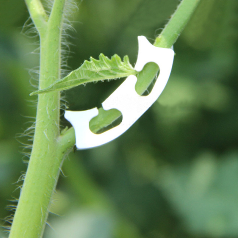 Clips de flejado de vid de tal - Gardening Tools Hoe reseña y precio