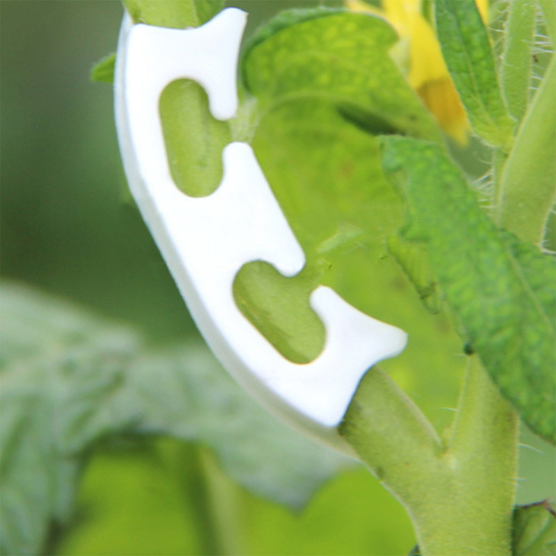 Clips de flejado de vid de tal - Gardening Tools Hoe reseña y precio