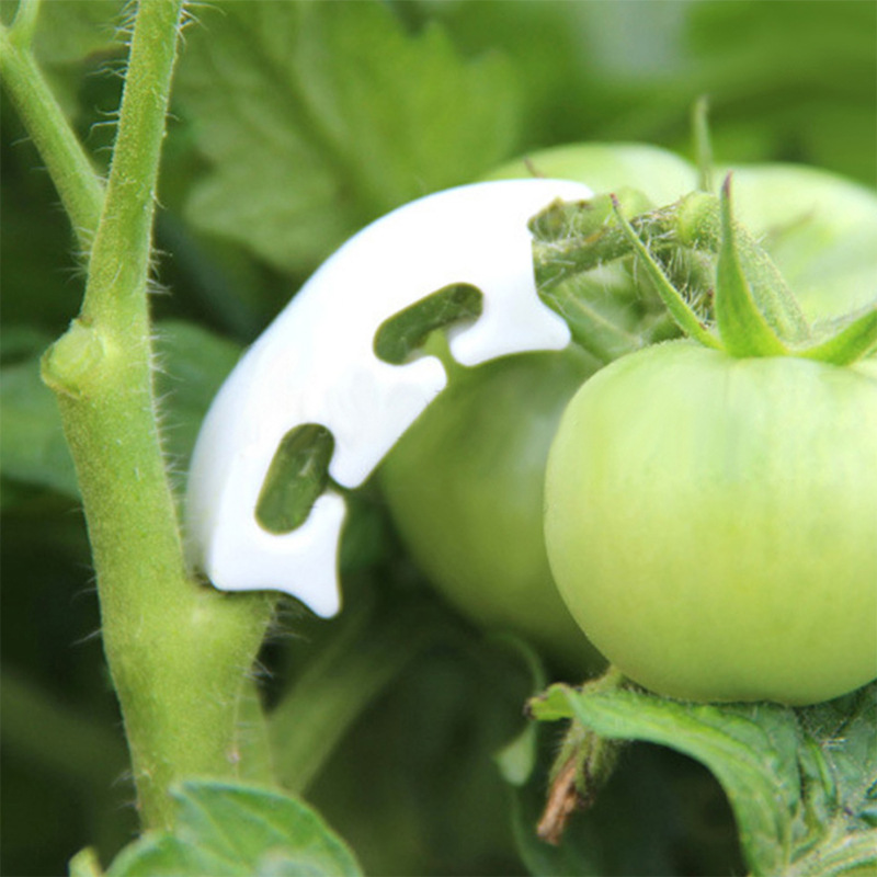 Clips de flejado de vid de tal - Gardening Tools Hoe reseña y precio