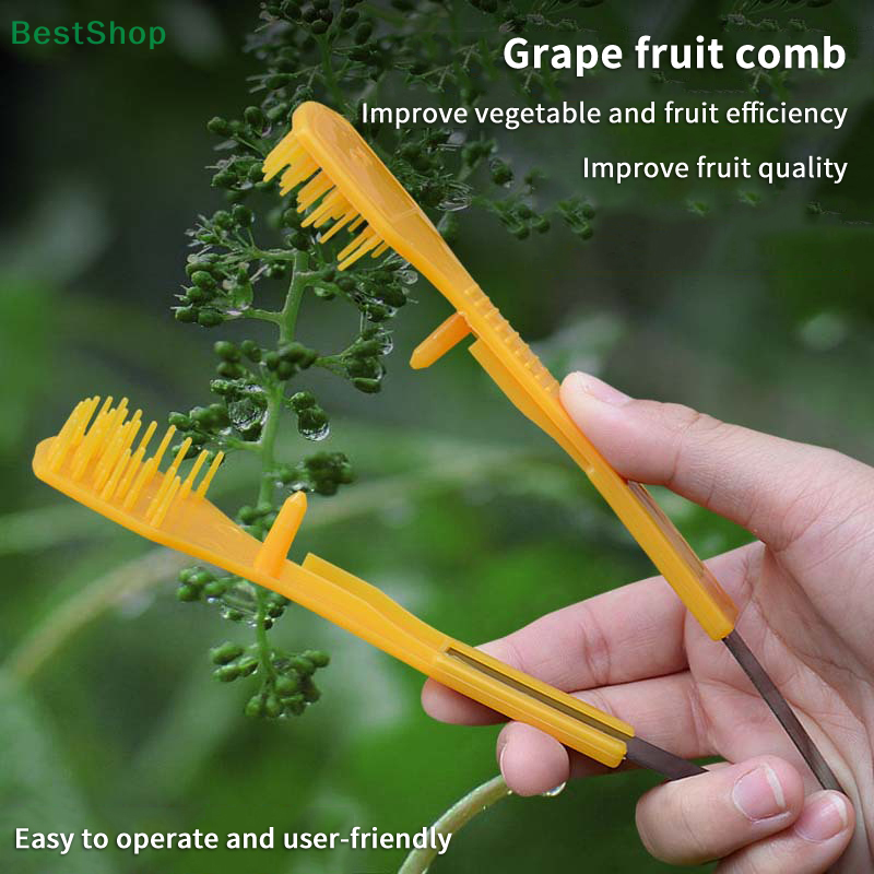 Victoria Organiva Herramienta - Gardening Tools Victoria reseña y precio