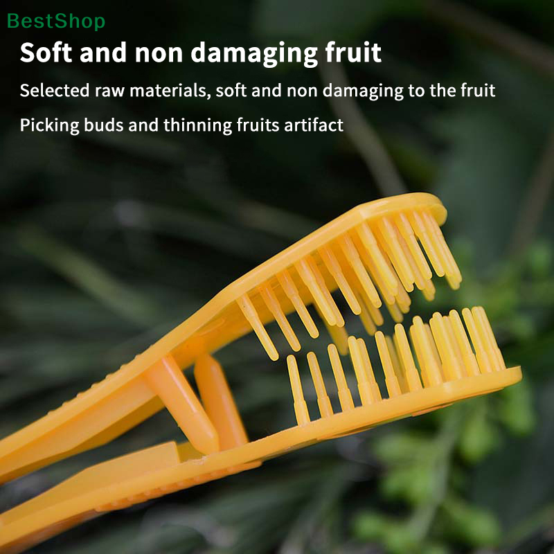 Victoria Organiva Herramienta - Gardening Tools Victoria reseña y precio