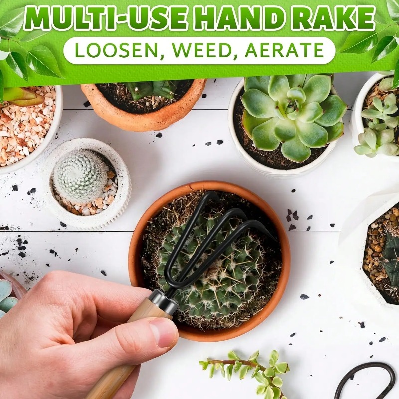 Juego de 3 Piezas/1 Set de Her - Gardening Tools Hoe reseña y precio