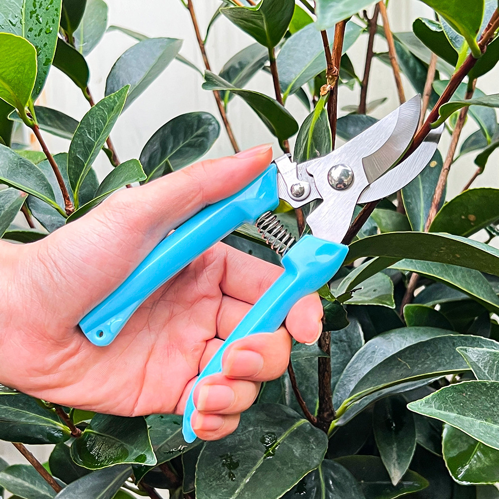 Tijeras de poda para jardín, t - Gardening Tools Pink reseña y precio