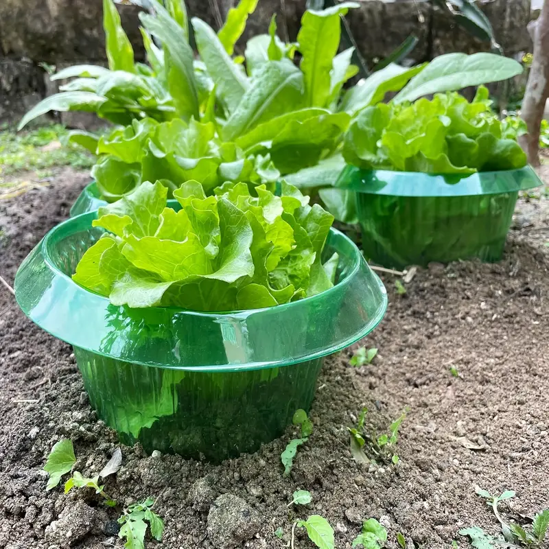 Anillos de protección de lodo  - Gardening Tools Green reseña y precio