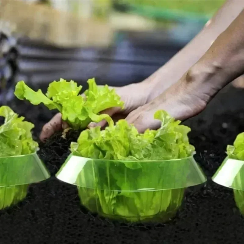Anillos de protección de lodo  - Gardening Tools Green reseña y precio