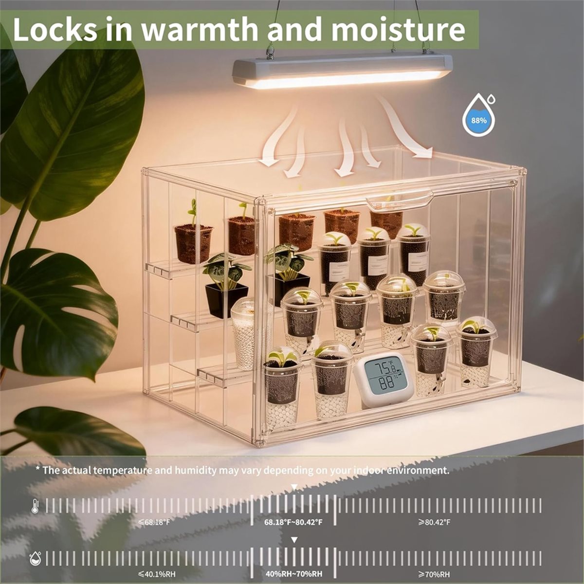 Mini Invernadero Transparente  - Greenhouse Mini Indoor reseña y precio