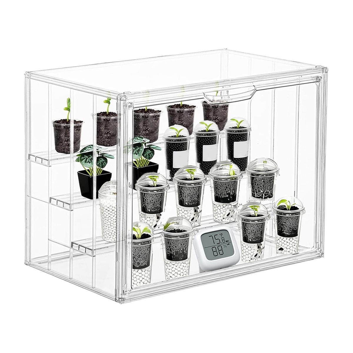 Mini Invernadero Transparente  - Greenhouse Mini Indoor reseña y precio