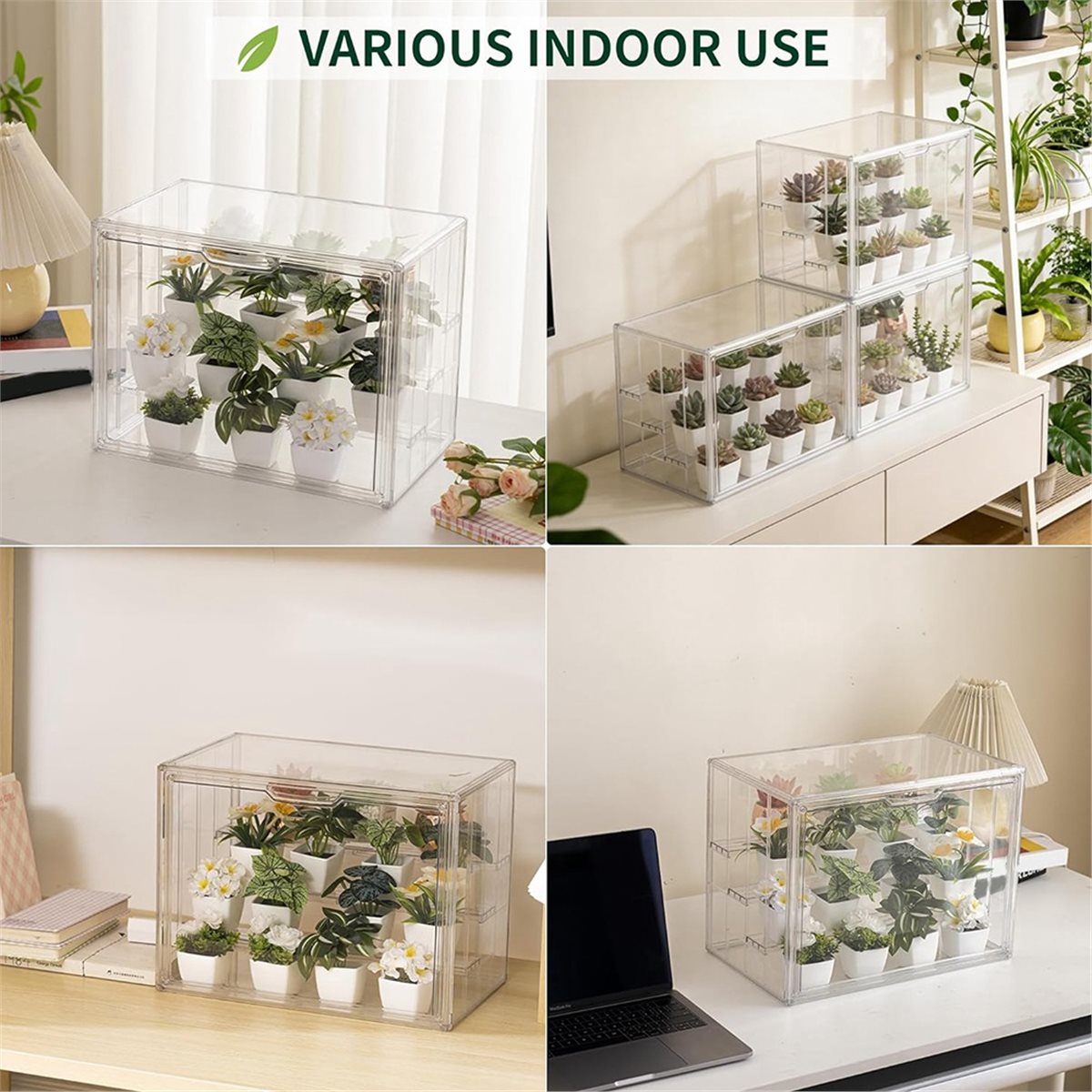 Mini Invernadero Transparente  - Greenhouse Mini Indoor reseña y precio