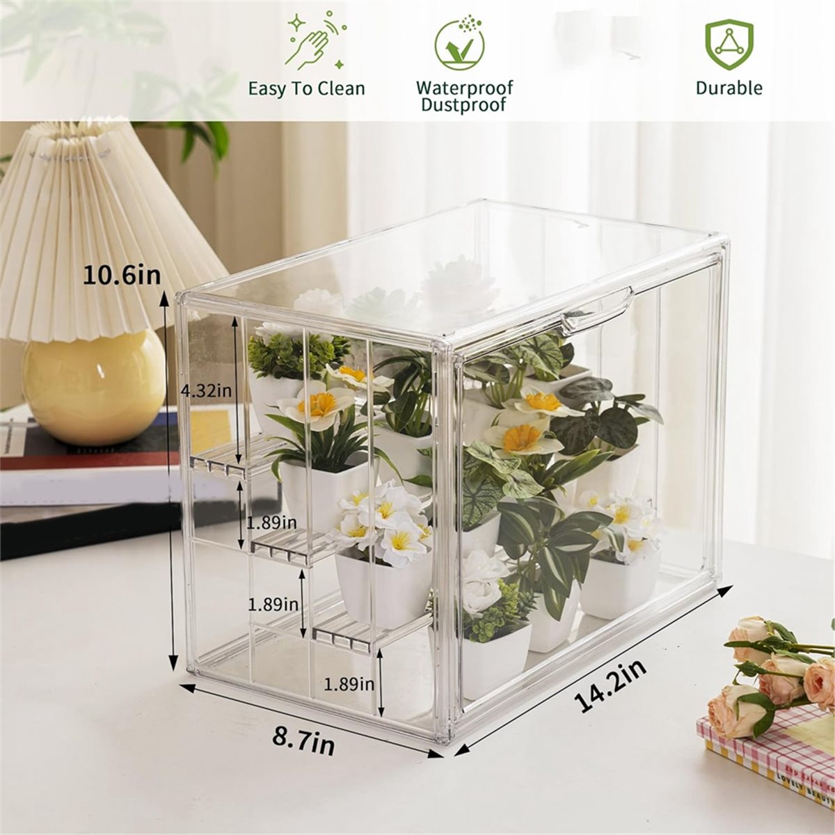Mini Invernadero Transparente  - Greenhouse Mini Indoor reseña y precio