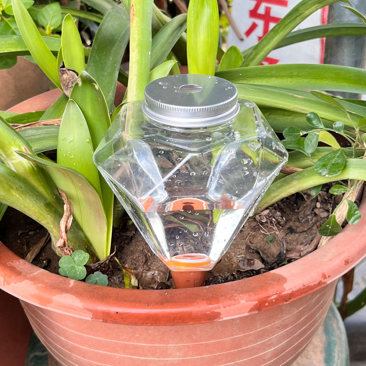 1 unidad de riego automático d - Automatic Plant Waterer reseña y precio