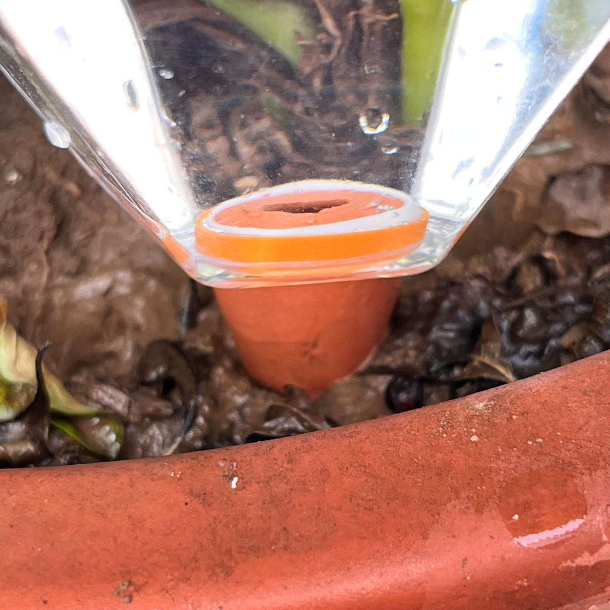 1 unidad de riego automático d - Automatic Plant Waterer reseña y precio